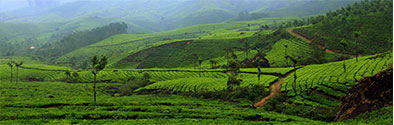 kerala packages for family 
